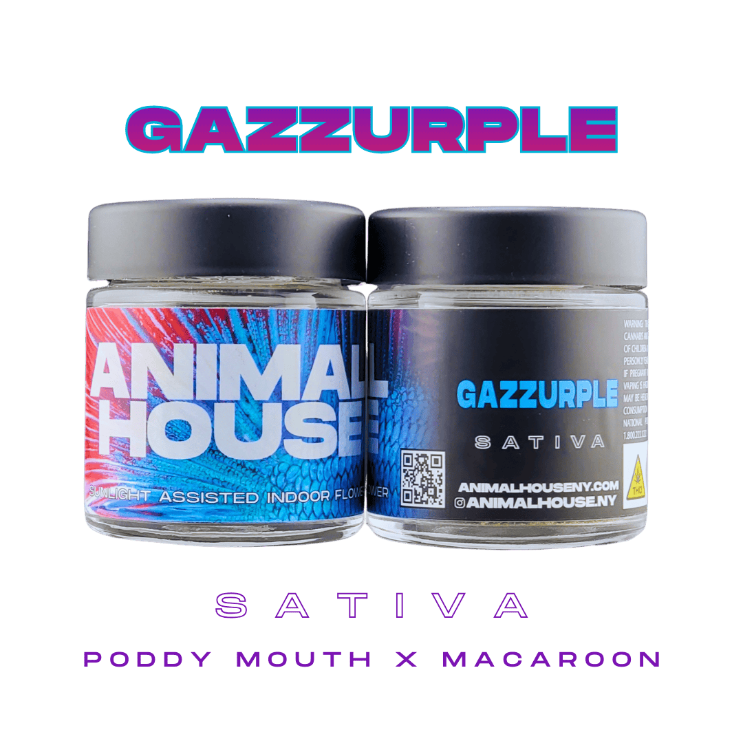 Animal House | Gazzurple | 3.5g