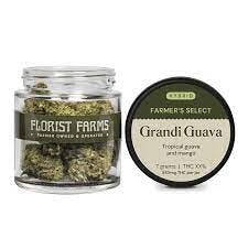 Florist Farms | Kombucha | Flower Jar