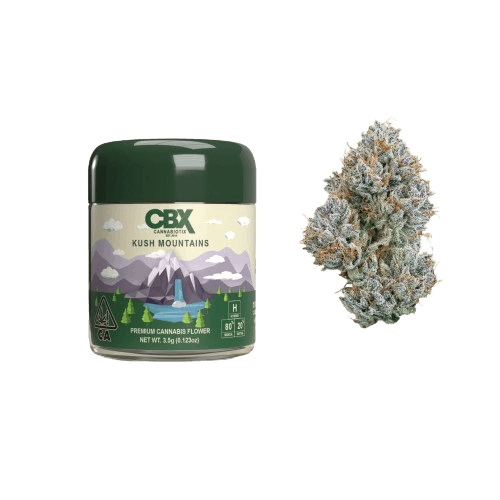 e6959b466812170006146205c3b698b7?auto=format&fit=fill&fill=solid&fillColor=fff&__typename=ImgixSettings&ixlib=react-9.0