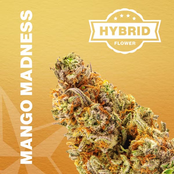 Mango Madness (H) - 3.5g - Green Meadows