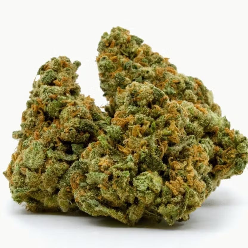 MJ Verdant | Pre-Pack - 3.5g - Tropical Rabbit