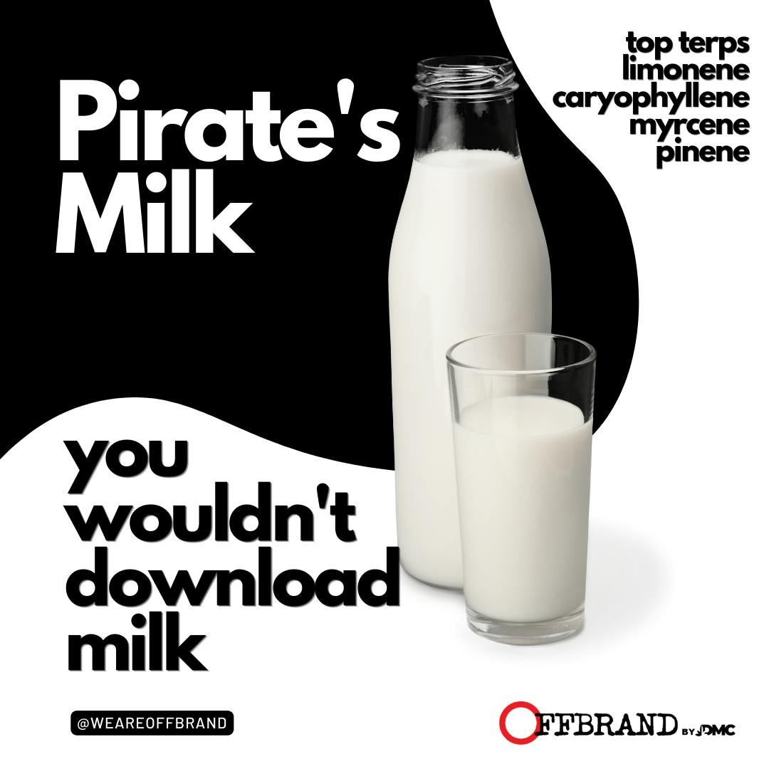 OffBrand Preroll Pirates Milk – Cheech & Chong's Dispensoria