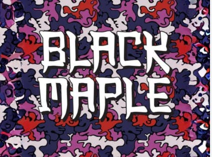 Peninsula Gardens PENINSULA GARDENS | BLACK MAPLE | BULK FLOWER | INDICA / HYBRID — FLOWER