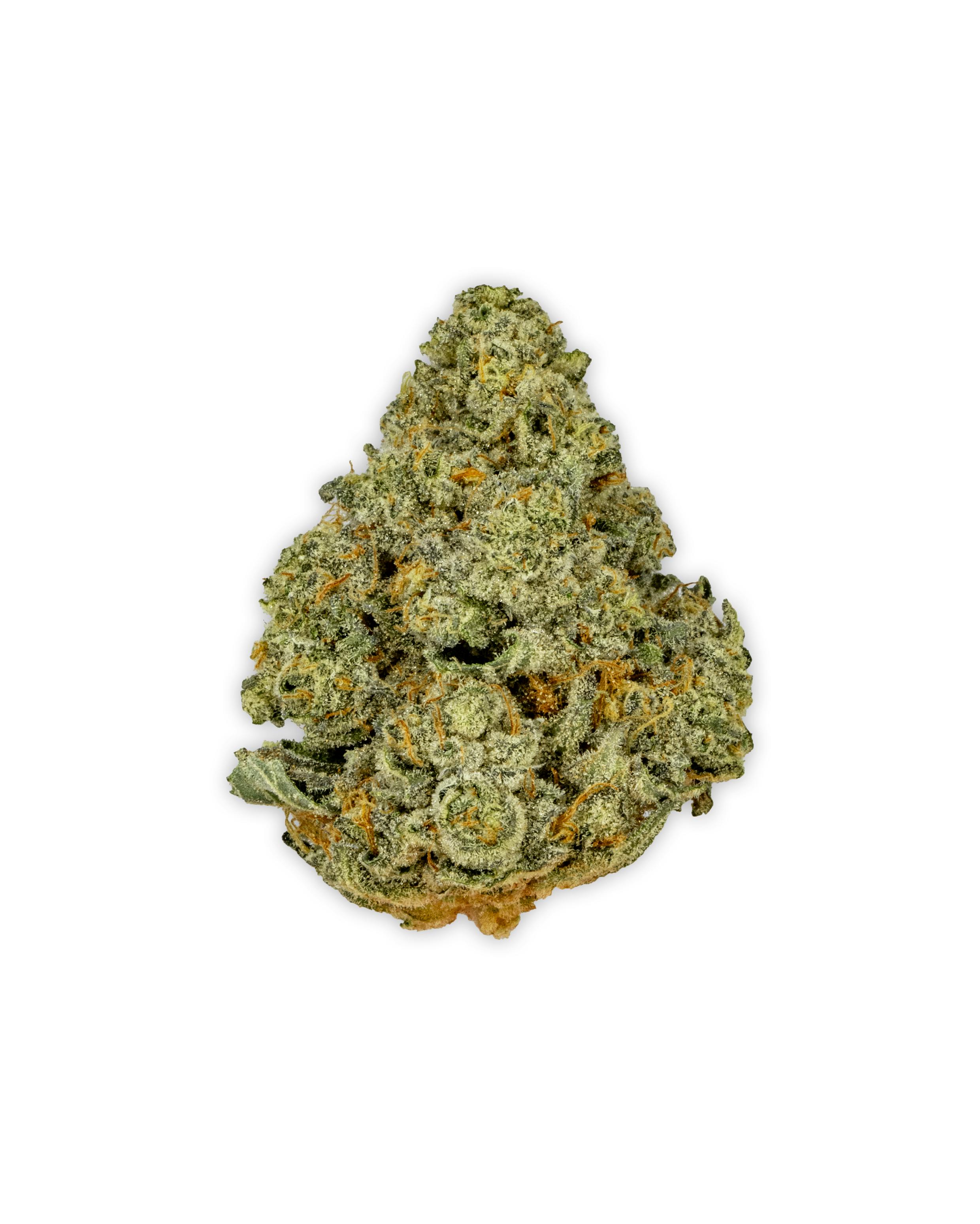 Shop Edie Parker Indoor SUGAR BREATH in New York | Gotham NYC