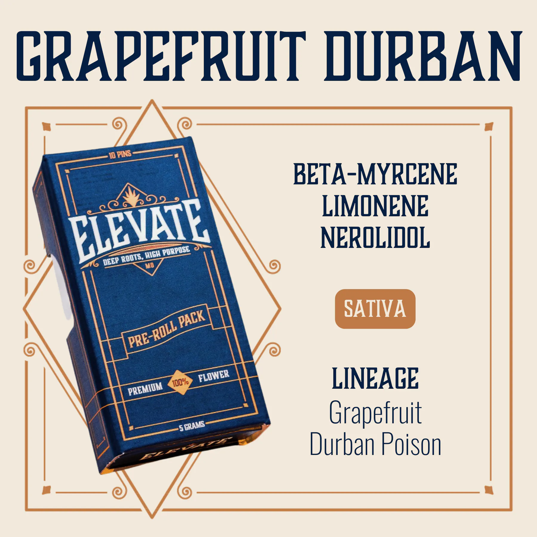 Grapefruit Durban Pins Pre-Roll | 10-pack | Key Missouri (Belton)