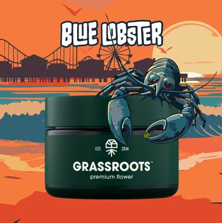 Product Blue Lobster (H) Grassroots