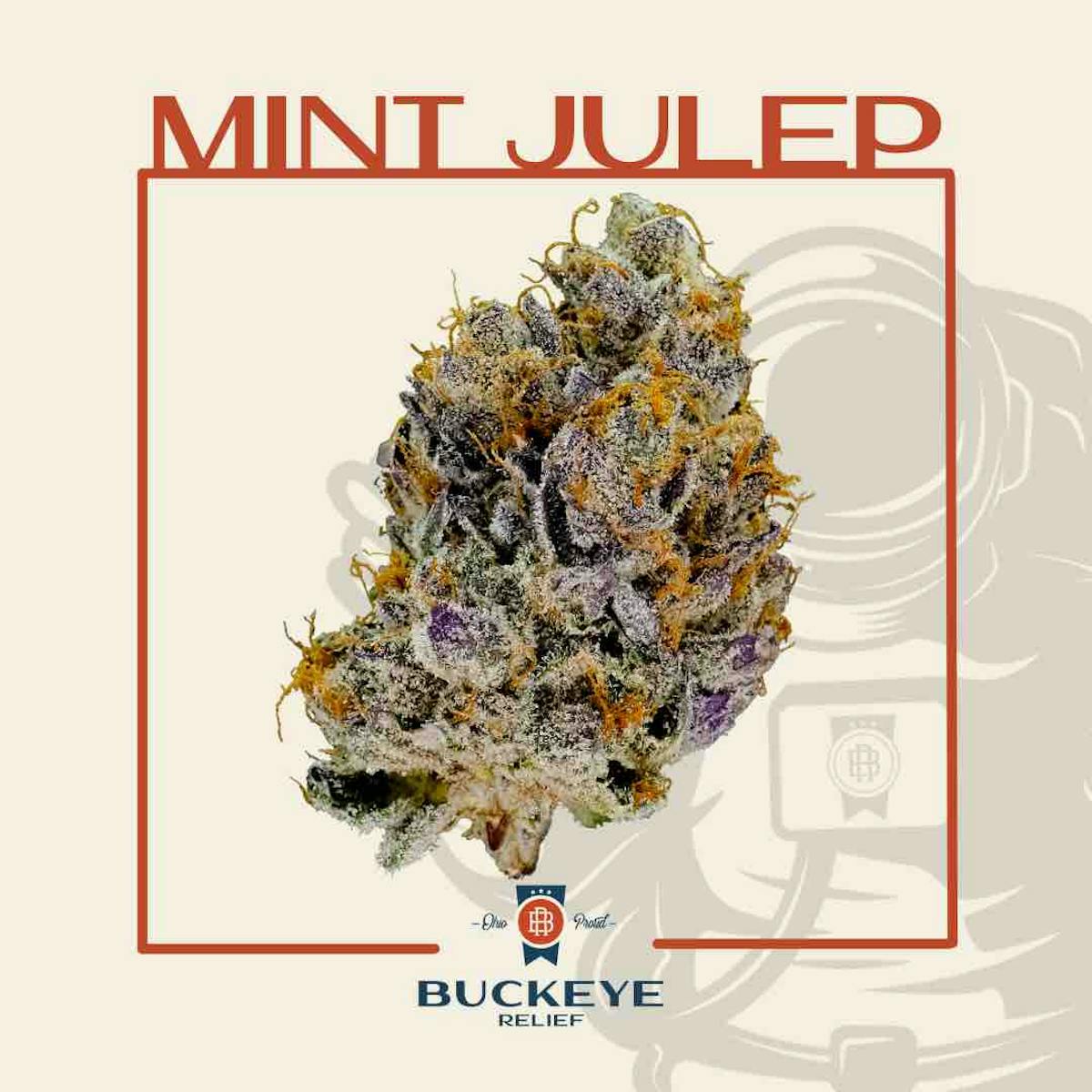 Photo of Mint Julep