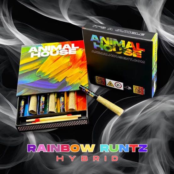 Animal House Rainbow Runtz 7 Pack Pre Rolls