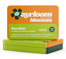 Ayrloom - 5 Pack .6g Infused Prerolls - Key Lime