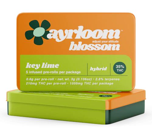 Ayrloom - 5 Pack .6g Infused Prerolls - Key Lime