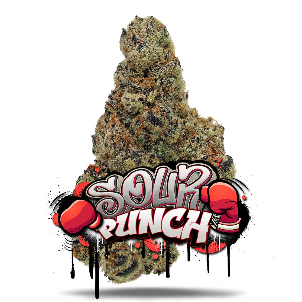 Shop Sour Punch - Premium Flower in Bonita Springs | Jungle Boys