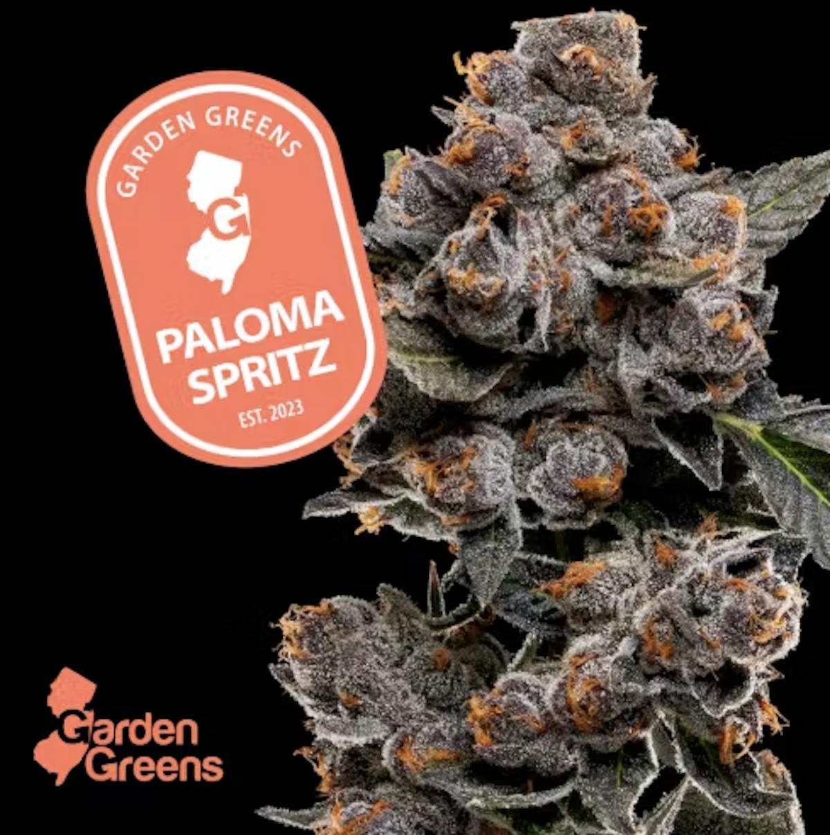 Photo of GSB | Paloma Spritz PR