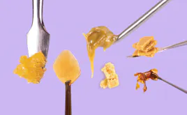 Concentrates category image