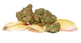 Flower category image