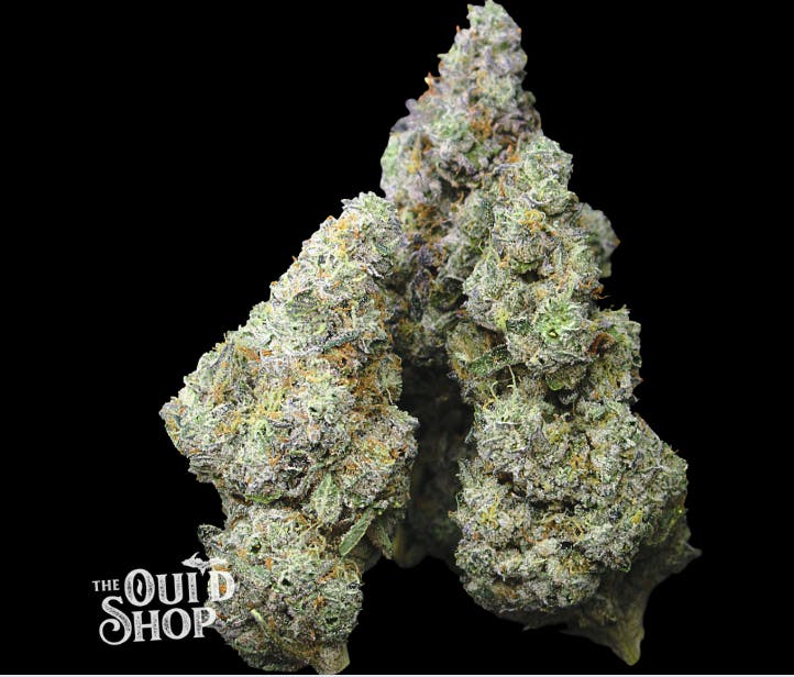 Product: Green Sprout Labs | Bulk Bud - High Society