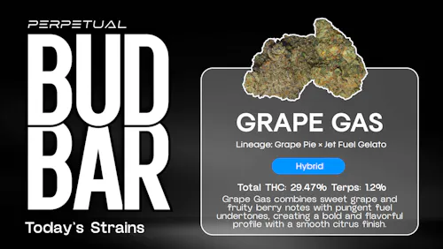 GRAPE GAS (IH)- Deli Style Flower-active