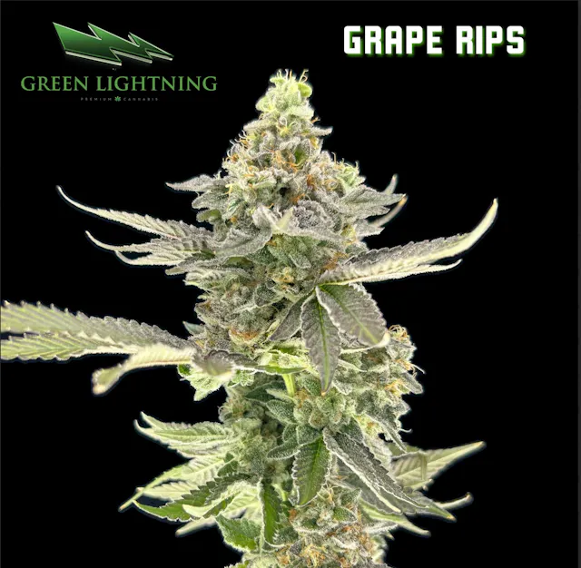 Green Lightning Smalls Grape Rips 7g (indica, small buds)