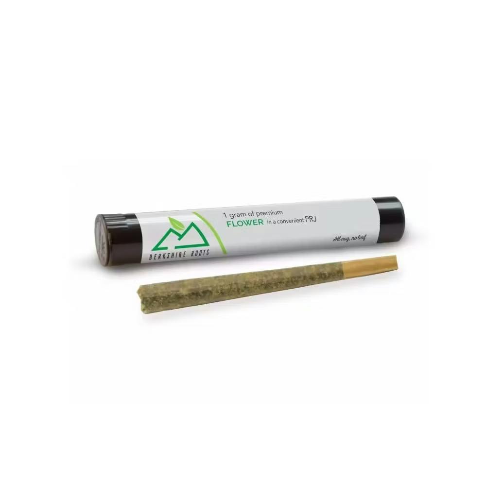 Product Berkshire Roots | Orange Chemeleon | Preroll | 1g