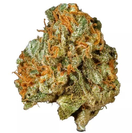 SYMPONIA FARMS INC | JACK 47 | BULK | SATIVA/HYBRID