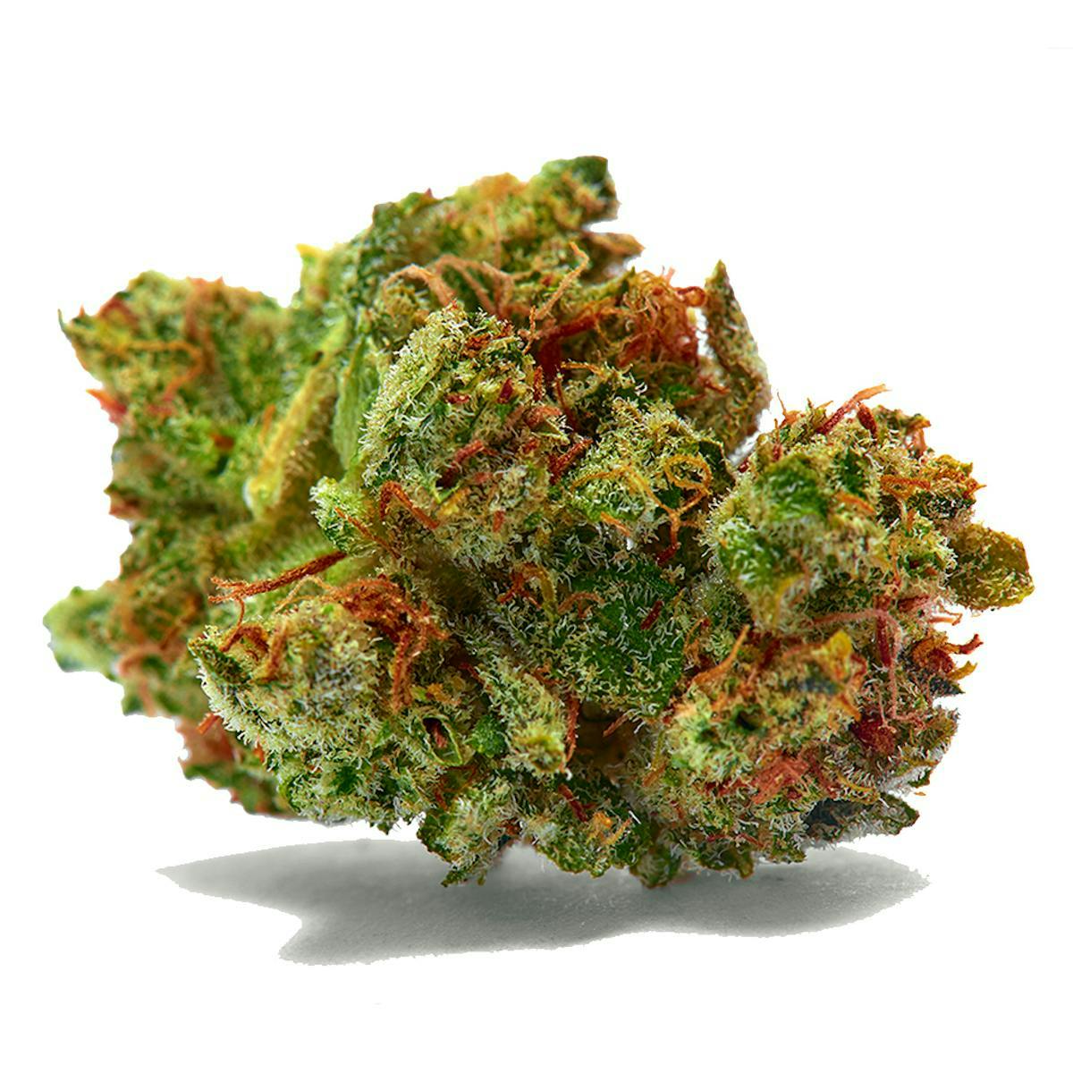 Packs - Sour Diesel Glone at Silk Road NYC, Jamaica Queens