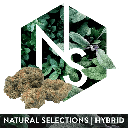 Ethos Natural Selections - Flower 3.5g - Garlic Juice