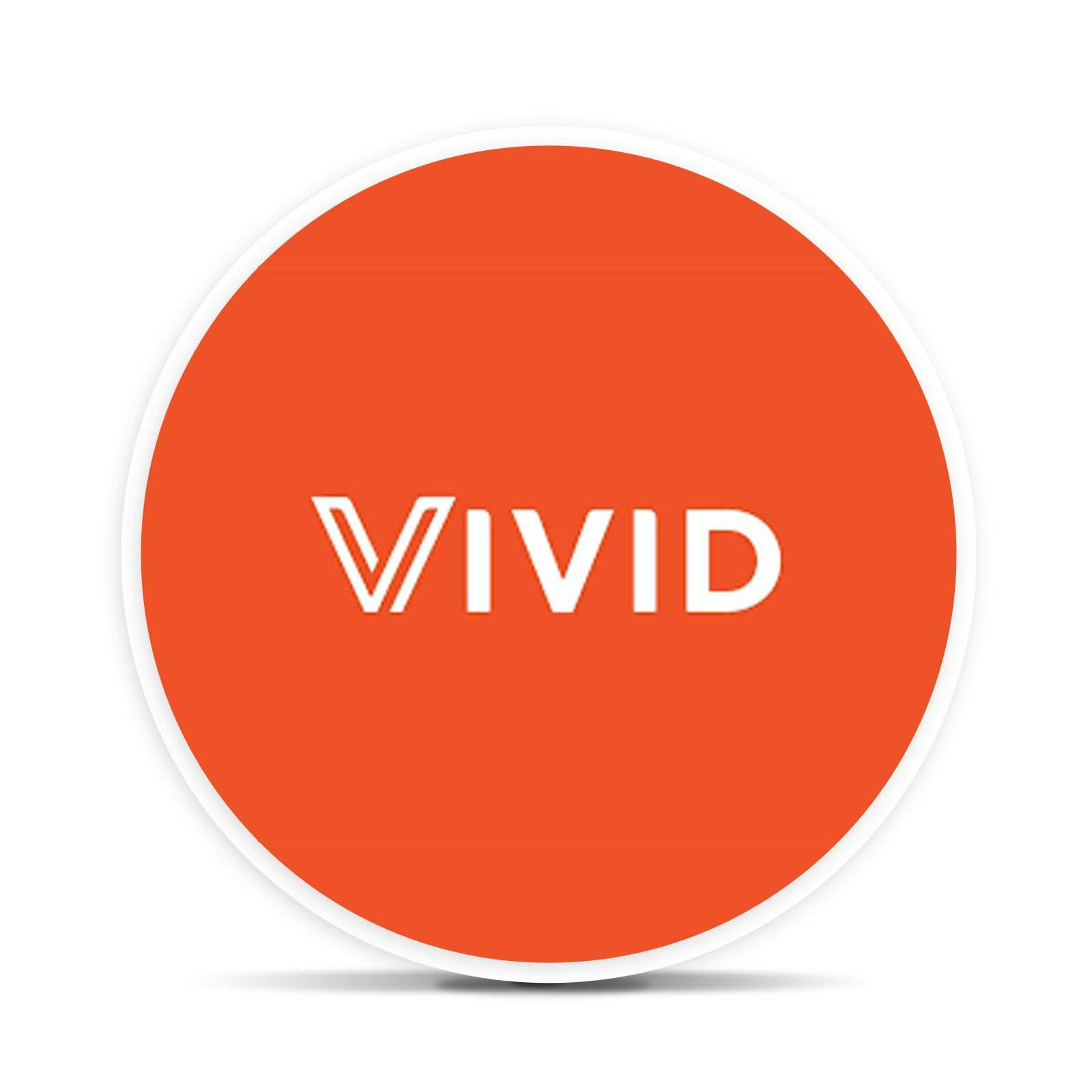 Vivid Grease Monkey
