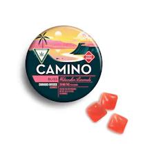 Camino 'Bliss' Watermelon Lemonade High Dose Gummies [10pk] (200mg THC)