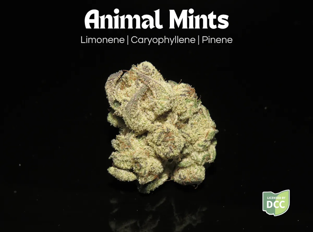 Animal Mints 2.83g Flower | Farkas Farms