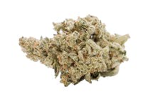 Product: Permanent Chimera | Gas Station Cultivation