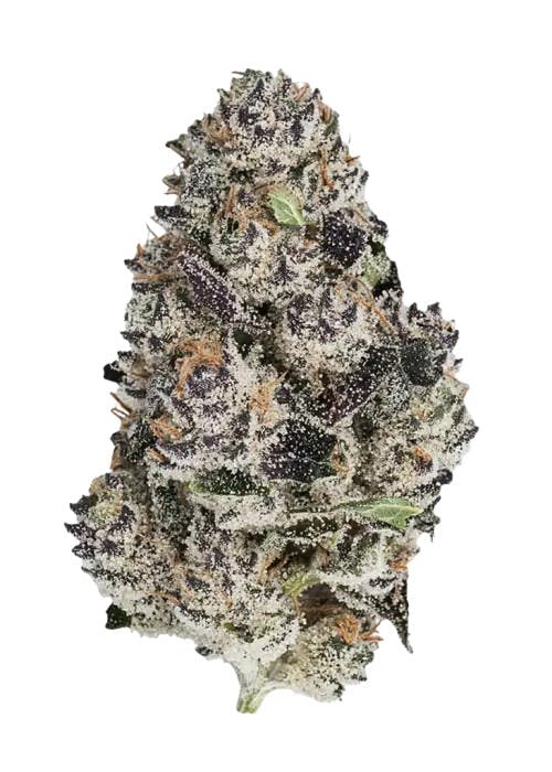 KUTZ PREMIUM CANNABIS KUTZ | WHITE TRUFFLE CAKE | BULK | SMALLS | INDICA/HYBRID — FLOWER