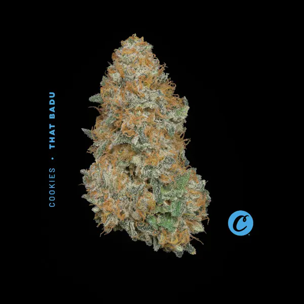 Tangie Dream 2.83g Flower | The Standard |