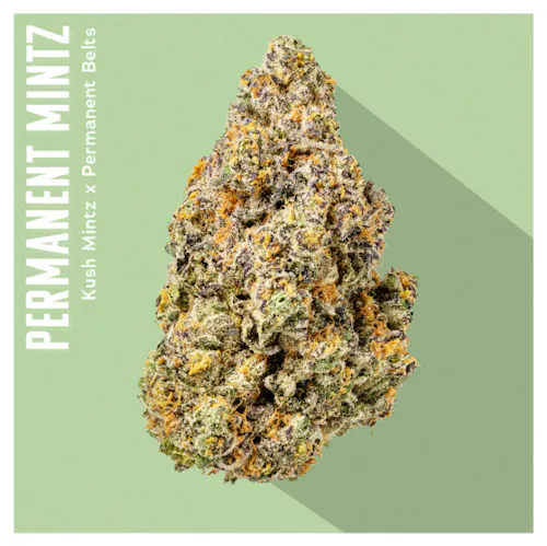 INSA Permanent Mintz 3.5g-active