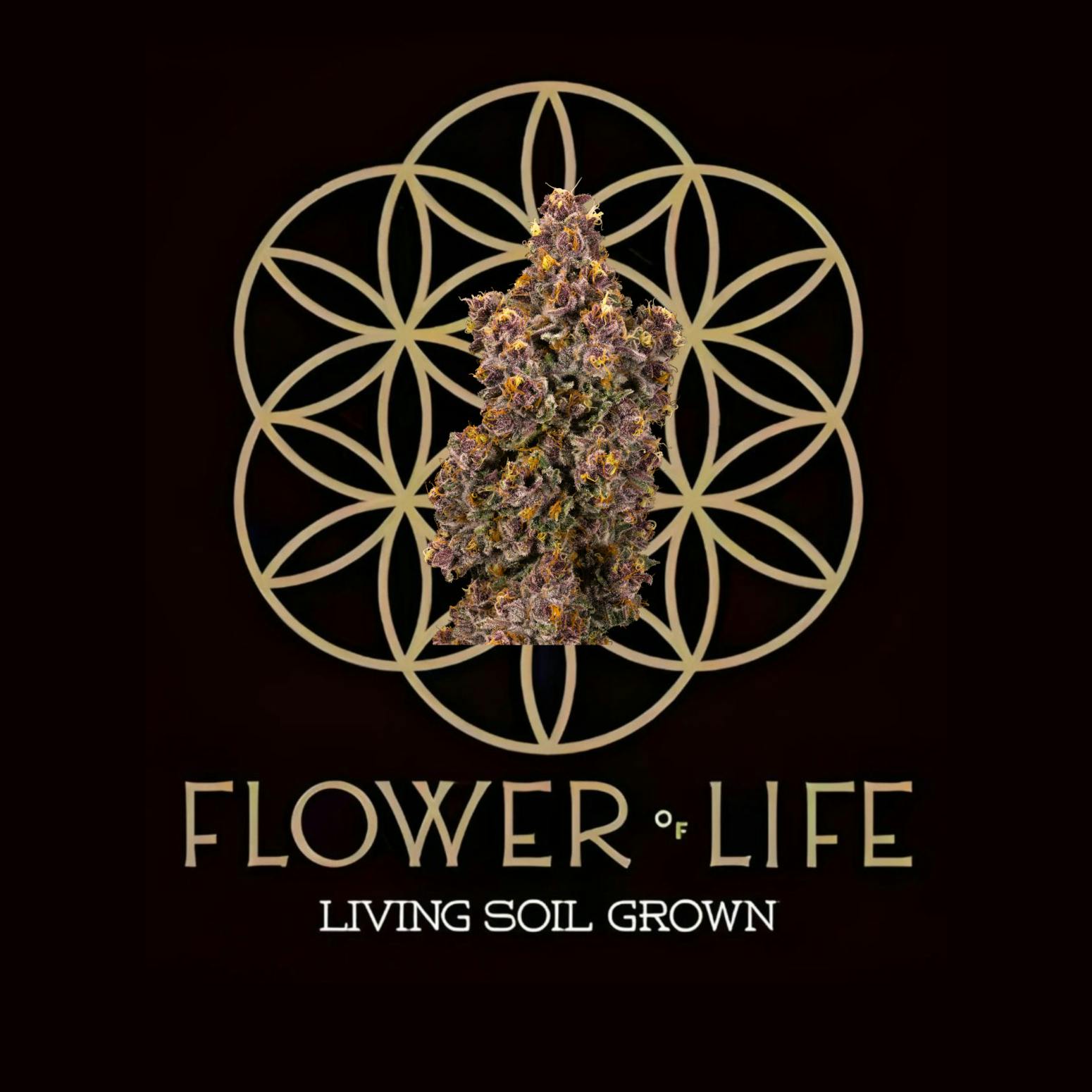 Product: Flower of Life | Bulk Bud - Lemon Cherry Gelato