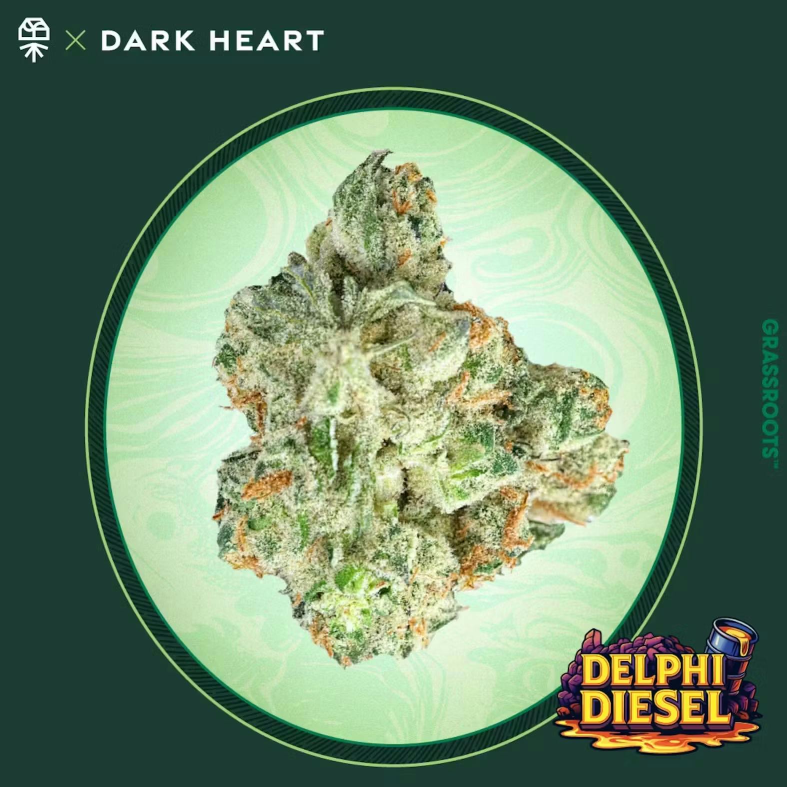 Grassroots Delphi Diesel 14g Dark Heart Smalls Flower