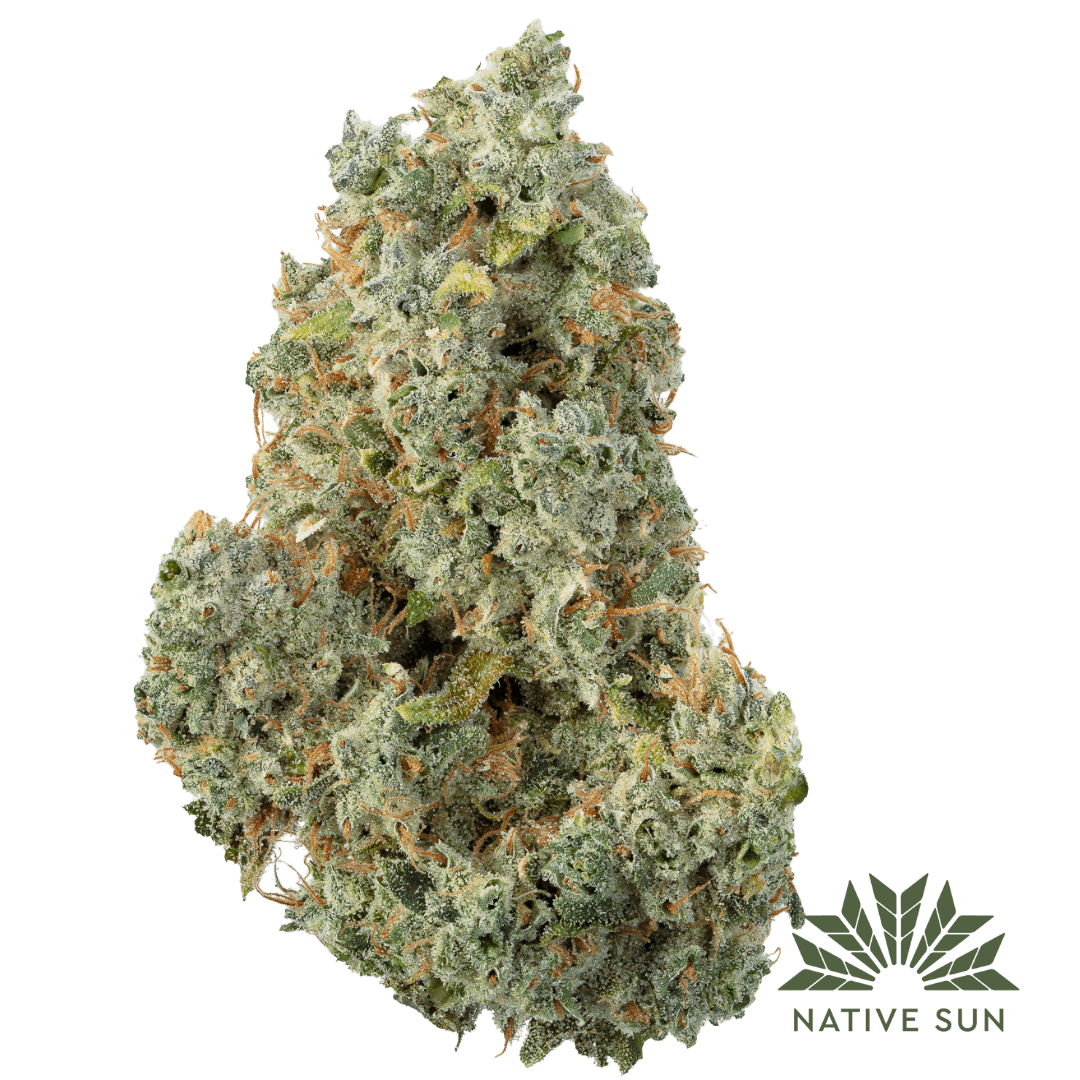 Native Sun DX4 | Flower | 3.5g - Native Sun Cannabis Cannabis