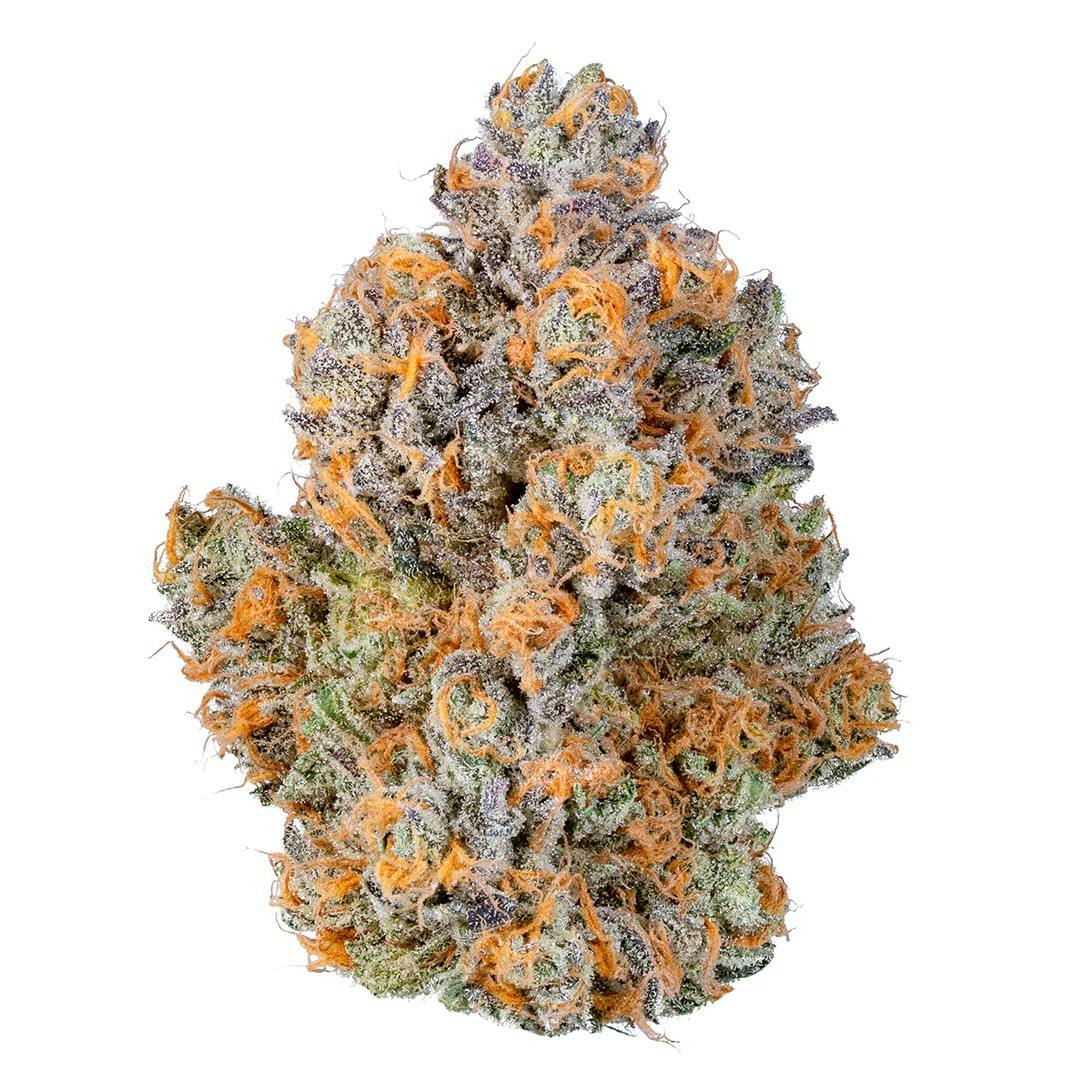 Society C SOCIETY C | HEADBAND | BULK | INDICA — FLOWER