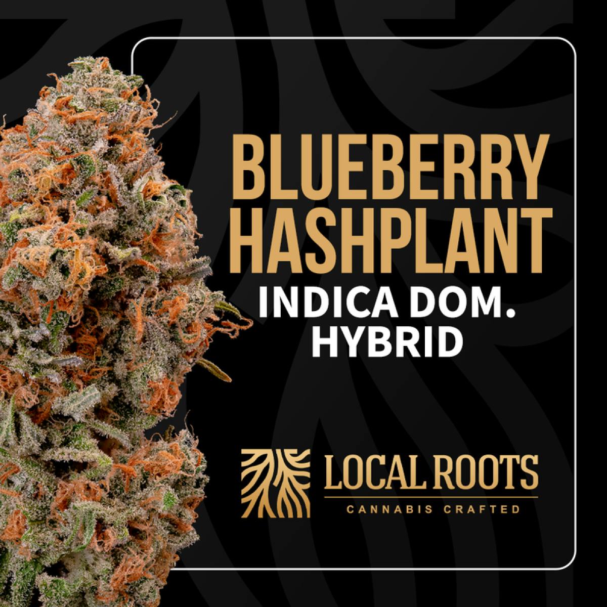 Product Blueberry Hashplant | Flower