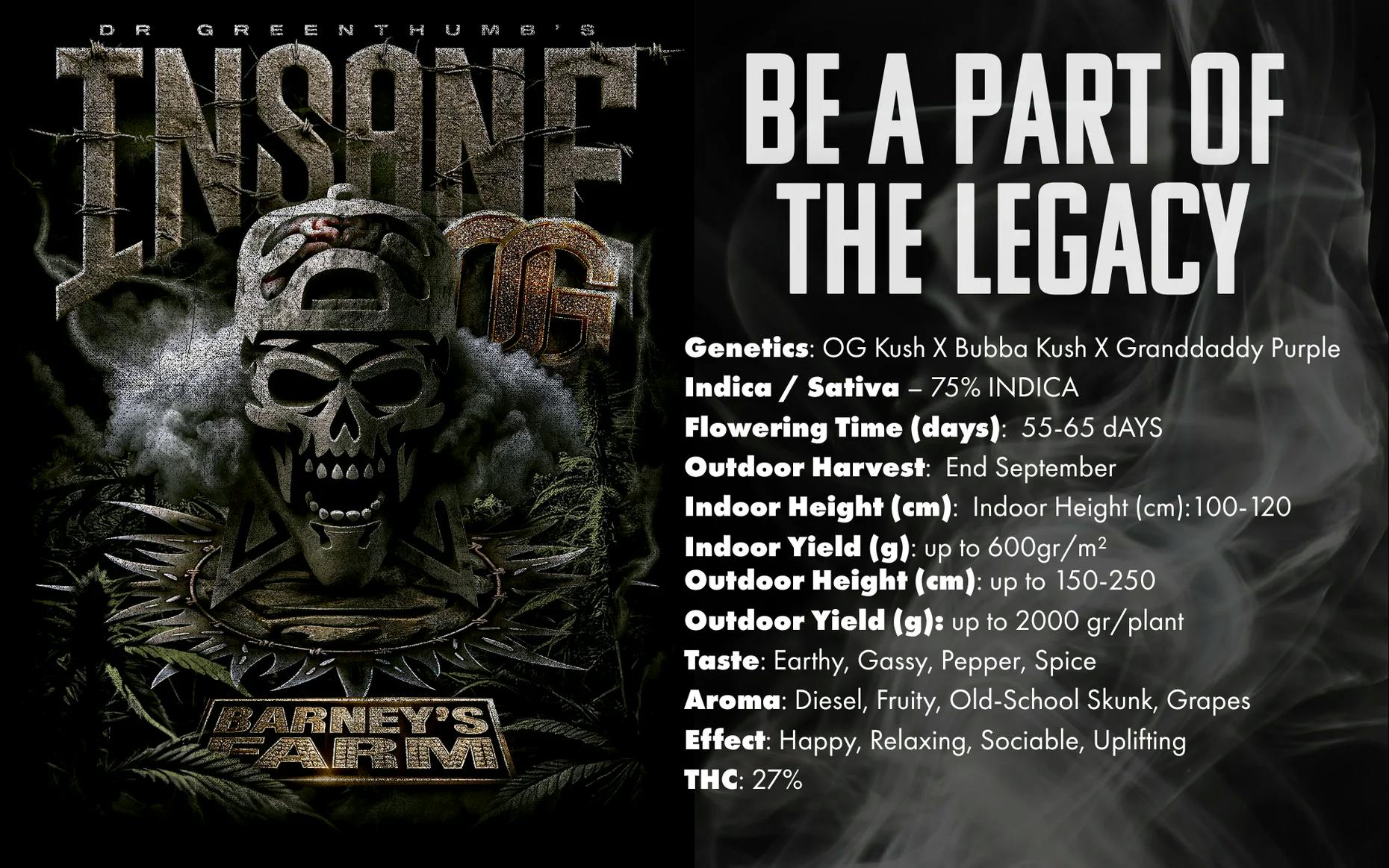 【新品】【1点限り】サイプレスヒル／Dr. Greenthumb's DGT Ashland Menu - a Cannabis Dispensary in Chicago, IL