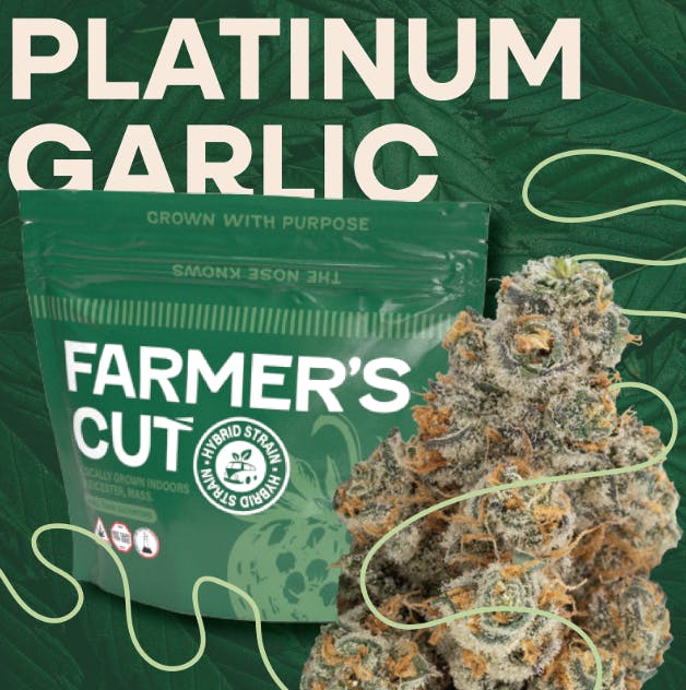 Platinum Garlic [28g]