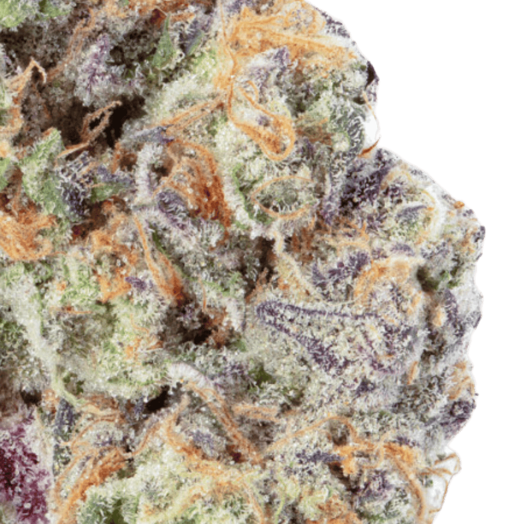 Native Sun Mimosa EVO | Flower | 3.5g - Native Sun Cannabis