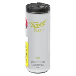 Fizz Pineapple - 355ml