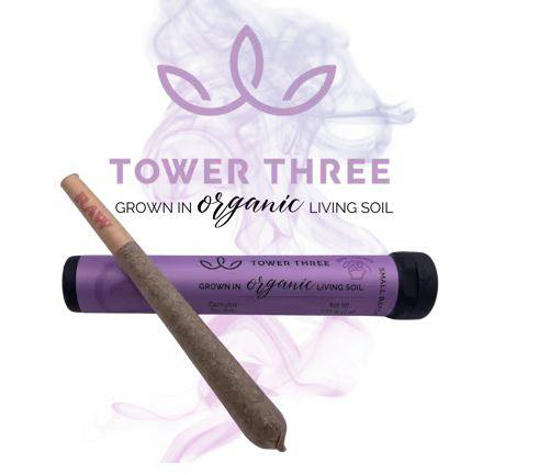 Product Black Maple Pre Roll