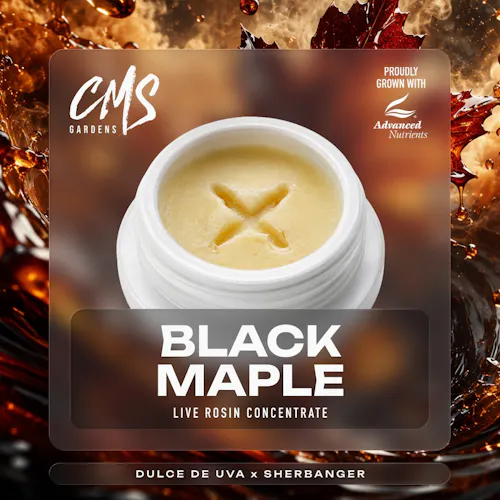 Black Maple (H) – Live Rosin (1g) – CMS Gardens-1