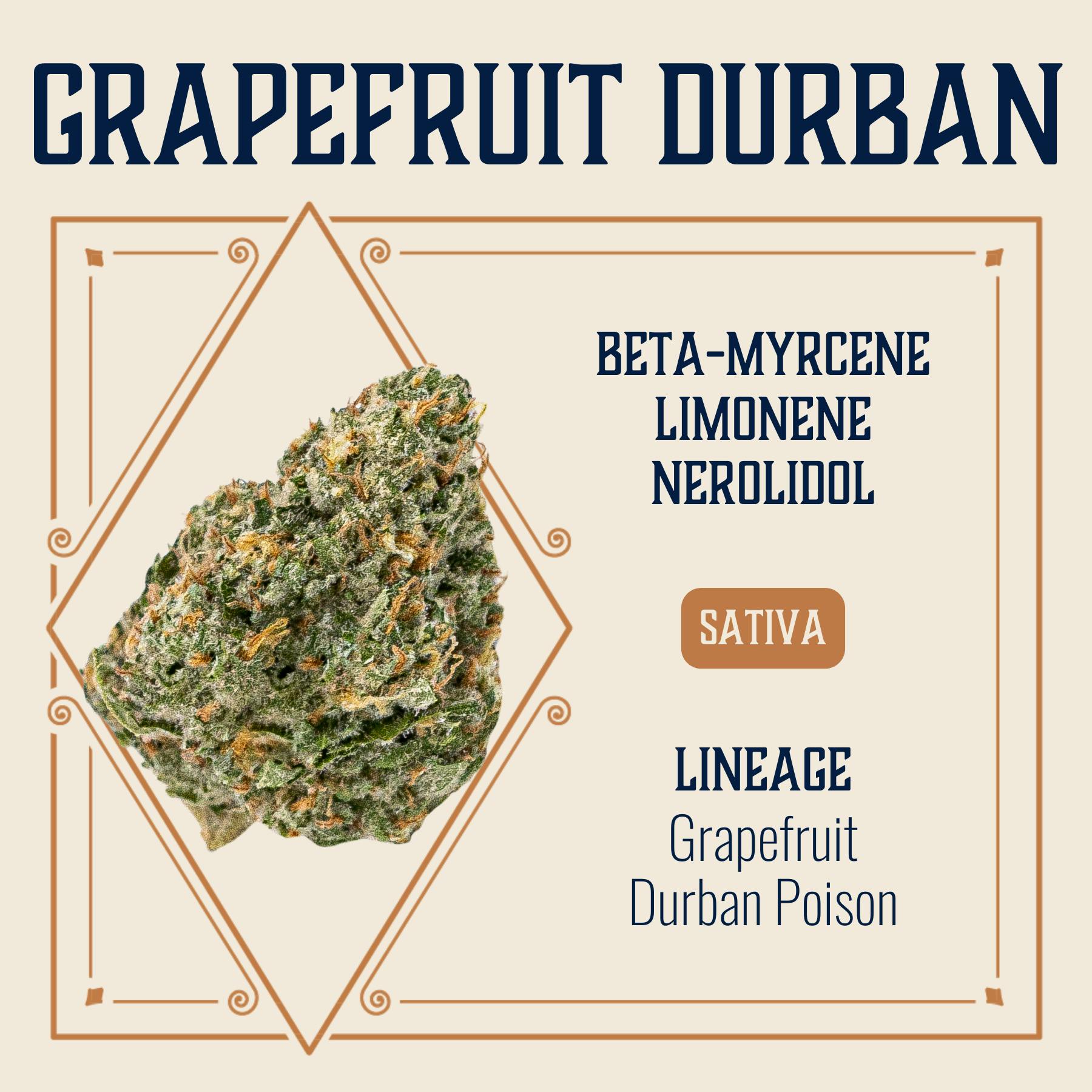 Grapefruit Durban Flower | 3.5g | CODES - Jefferson City