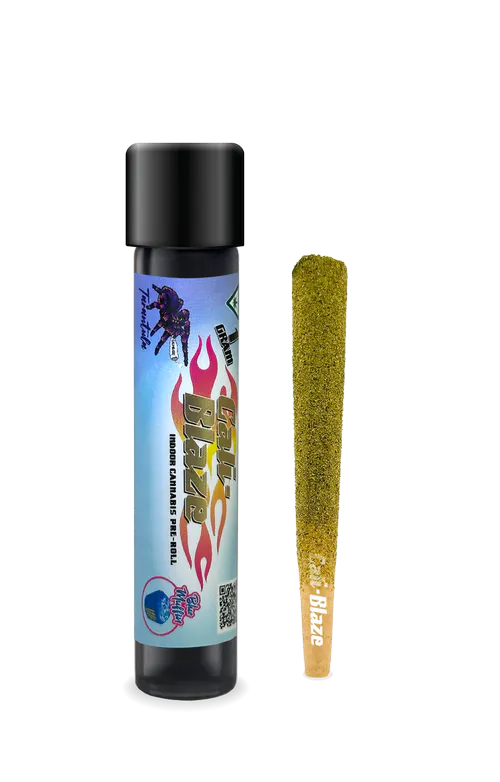 Buy Baja Blaze | Infused Tarantula Single Pre-Roll | 1g in Ann