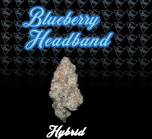 Product Blueberry Headband Buds