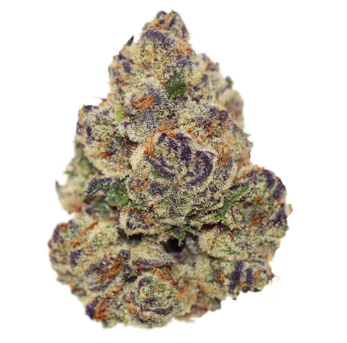 CAM | Lemon Cherry Gelato Flower-1