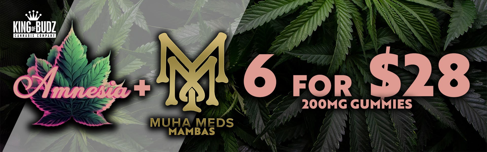 Amnesia/Mambas 200mg Gummies 6/$28