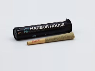 Harbor House | GMO - Preroll
