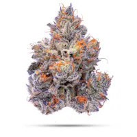Product CMS Gardens - Pomelo Punch Flower (3.5g)